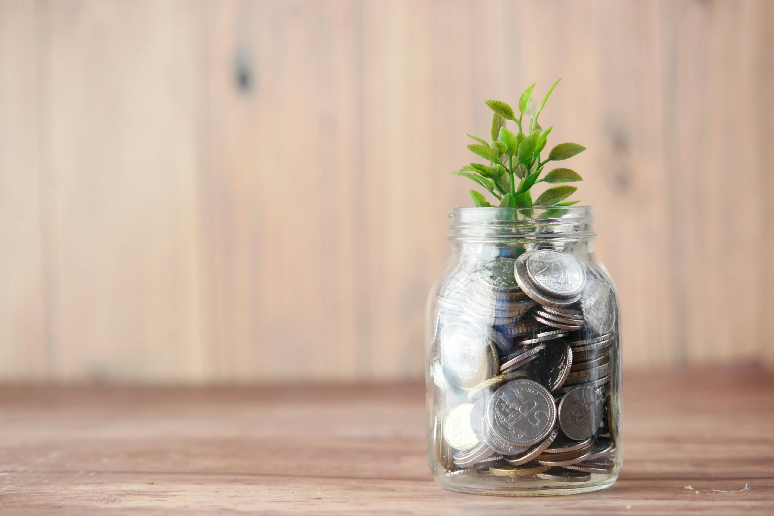 Green Financing for Small Businesses: How to Fund Sustainable Growth in 2025